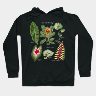 Tropical Plants Foliage Flowers Hoodie